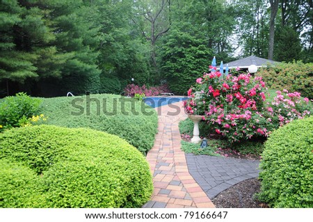 Pool Shrubs