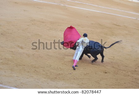 Matador (Torero) Leaning with Red Cape Moving as Bull Charges