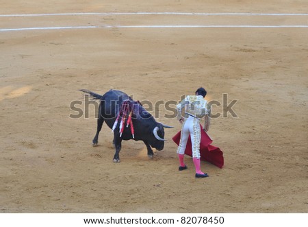 Matador (Torero) Standing with his Red Cape in Front of Charging Bull