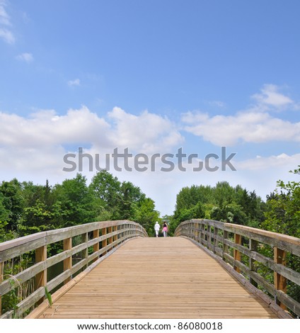 Walking On Wood