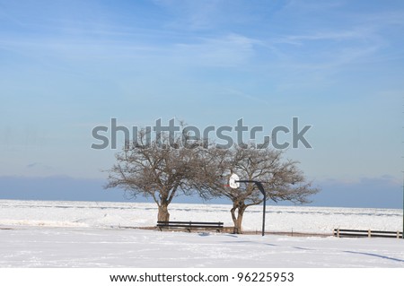 Snow filled Basketball hoop court with bare trees along Chicago Illinois  north side Michigan Lake Winter Scene