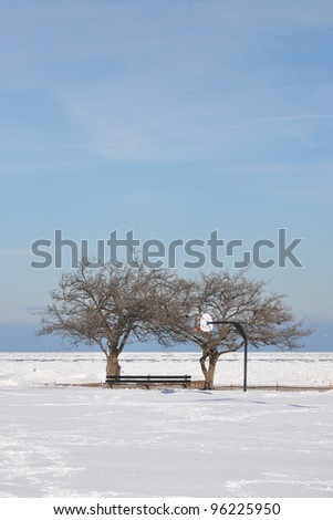 Snow filled Basketball hoop court with bare trees along Chicago Illinois  north side Michigan Lake Winter Scene
