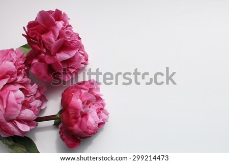 Second background with pink peonies. It can be used as a background for postcard or invitation cards.
