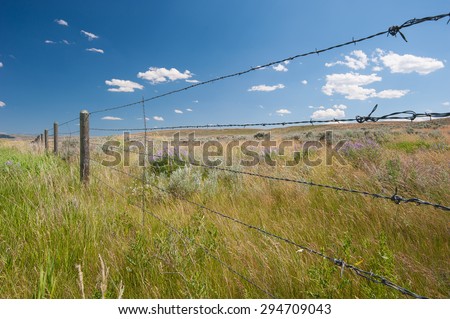 Barbed Wire Fence line in Montana/ Fence Line