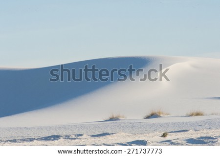 White Sand Dunes - White Sands National Park