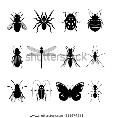 Insects icons. Insect vector silhouettes on white background