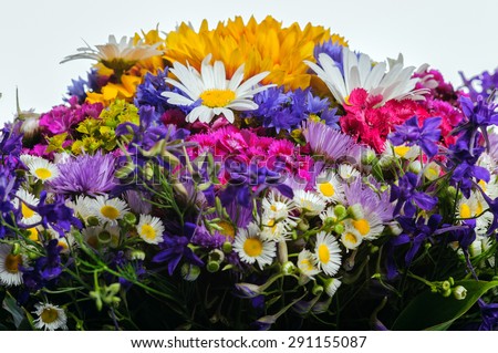field flowers bouquet