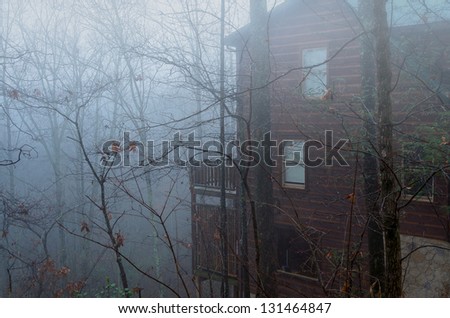 View of a cabing log during a foggy morning in the Smoky Mountains in Tennessee