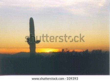 arizona sunset