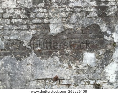 Cemetery walls in New Orleans