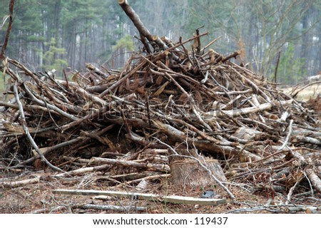 pile of wood debris to build a road