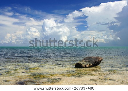 Overgrown stone in water gulf ocean at Cuba.