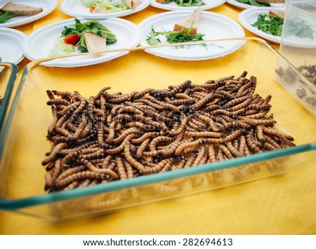 Roasted meal-worms