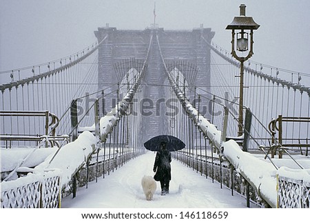 Woman Walking Dog In The Snow On The Brooklyn Bridge In The New York City
