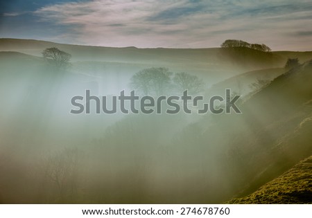 Mist and Shadows. Winter sun shines through valley mist and trees creating long shadows and illuminated mist.