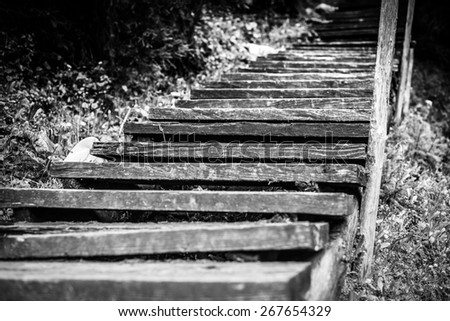 Black and White wooden stairs in woods