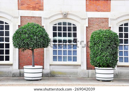Wall with window and decorative shrubs in Hampton Court Palace, London, England, United Kingdom