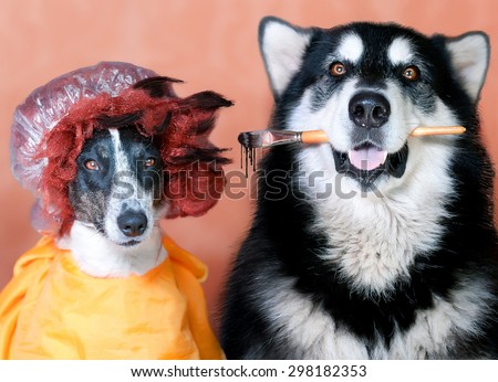 one dog holding the brush other dog wearing a wig and a hat