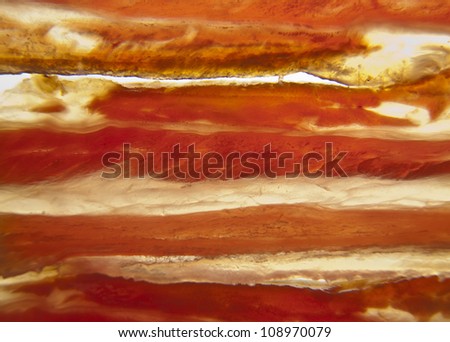 bacon texture