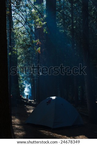 Camping tent under the tree in early morning in yosemite national park