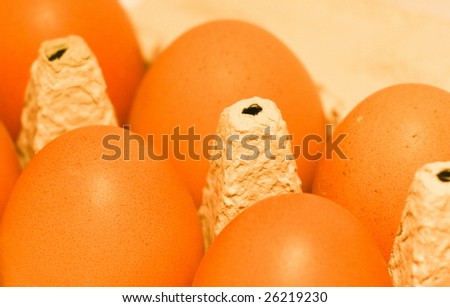 Eggs in cartoon box