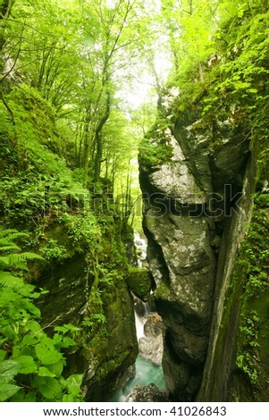 Pending rock on the river in deep forest near town tolmin in slovenia