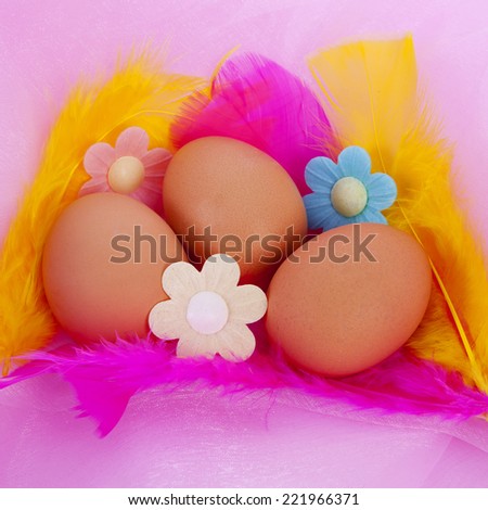 Easter chicken eggs with feathers and flower over pink fabric