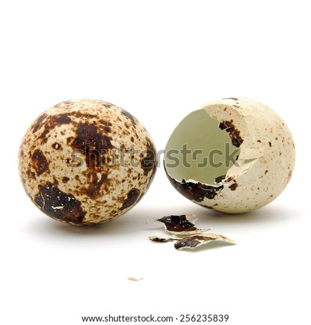 Two Peewit eggs over white background. One is whole and one is broken