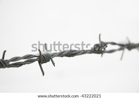 Barbed wire in closeup in the snow