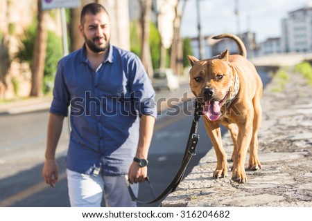 Man walking with his dog. A man  is walking next to the river with his dog on a leash. He is looking at the dog and is wearing summer clothes.