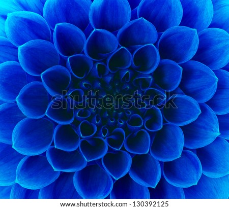 Abstract petals of a flower