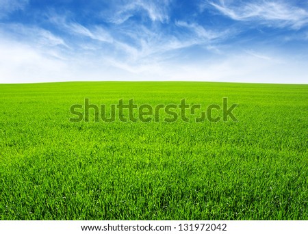 field and  blue sky