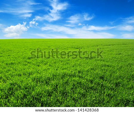 field of green grass with white clouds field of green grass with white clouds
