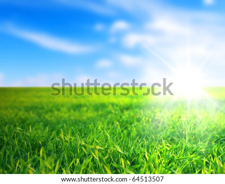 Green field and sun