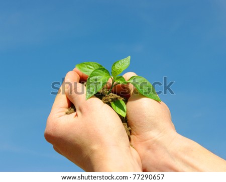 holding a plant between hands on sky