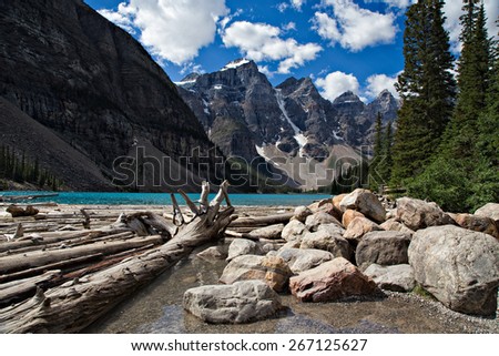 Rocky Mountain view at Moraine Lake in Banff National Park. Blue glacial water, rocks and fir trees and trees fallen in water.