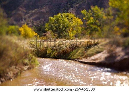 A dreamy landscape featuring a stream and autumn foliage in northern Texas.