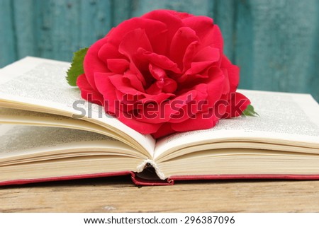 Composition with red rose in a book