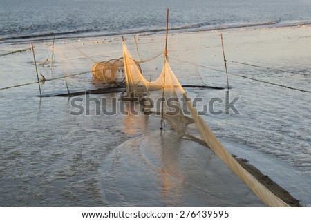 Shrimp nets in Wadden Sea at low tide, in the golden glow of the sunset