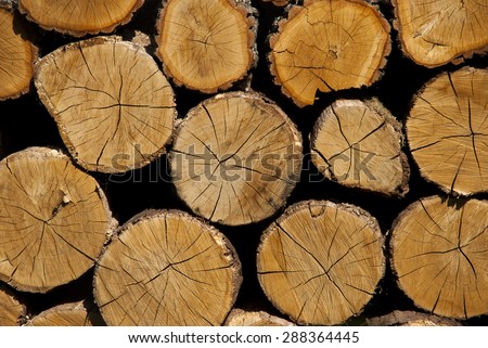 Cross section of the timber. A stack of dry firewood laid in a heap stored for for winter heating season