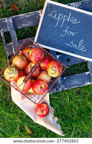 Royal Gala Apples\
Royal Gala Apples collected  in a wire basket, ready for sale , isolated on grass