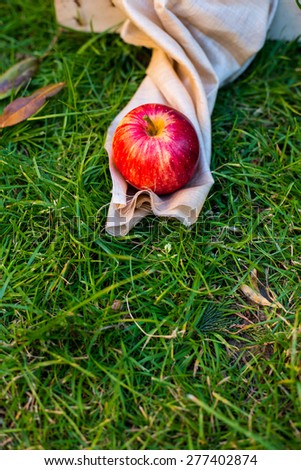 Royal Gala Apple isolated on grass