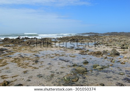 Seaweed and Sand on rock platform at low tide in Northern New South Wales Australia