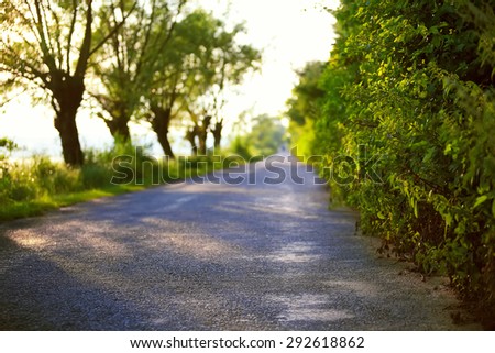 road into the distance.trees and bushes in the background