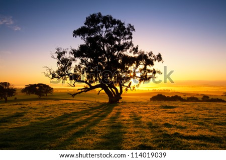 Sun Rises Over The Clare Valley, South Australia