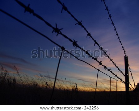 Barbed Fence Silhouette
