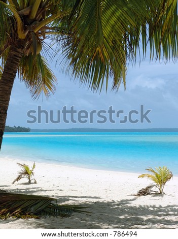 Tropical Beach in the Cook Islands