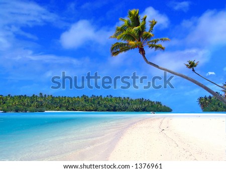 Palm Tree on One Foot Island