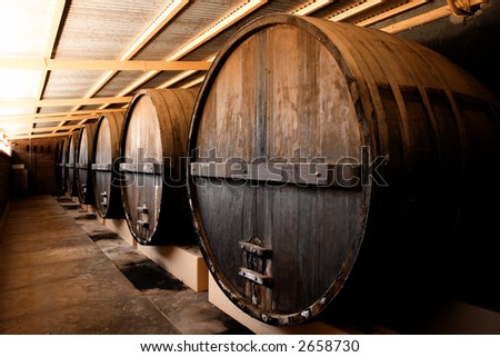 Large Barrels at a Winery in South Australia