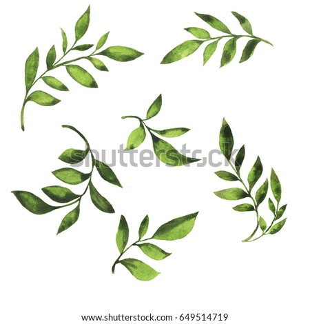 Set of green fresh branches with leaves painted by watercolor. Hand drawn illustration.